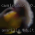Amarillo, adult clubs