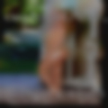 Swingers clubs Arlington